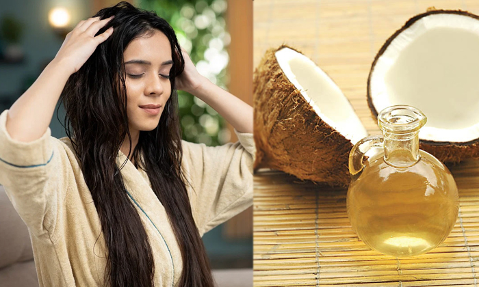  This Oil Helps To Regrowth Your Hair Quickly Details, Hair Regrowth Oil, Hair O-TeluguStop.com