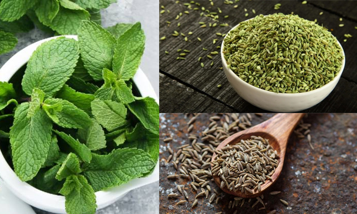 Telugu Powder, Cumin, Fennel Seeds, Tips, Latest, Mint-Telugu Health