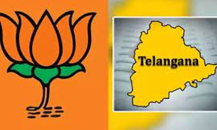  Top Leaders Are Queuing Up Bjp's Hopes For Telangana Mp Positions, Telangana Bjp-TeluguStop.com