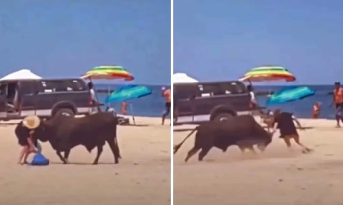Telugu Beach, Buffalo Attack, Bullattack, Bull Attack, Mexico, Mexico Beach, Nri