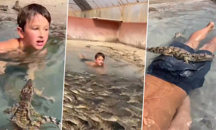  Boy Jumps Into A Pool Full Of Crocodiles Video Viral Details, Brave Boy, Crocodi-TeluguStop.com