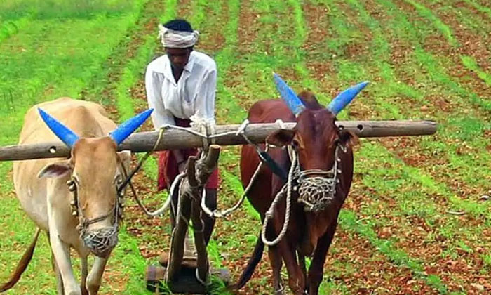 Telugu Ap, Ap Schemes, Chandrababu, Farmers-Politics