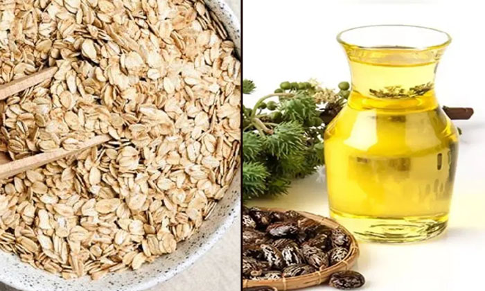  How To Repair Dry Hair With Oats , Dry Hair, Oats, Oats Hair Mask, Oats Hair Pa-TeluguStop.com