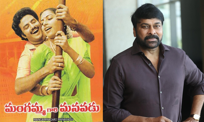  Latest News About Mangamma Gari Manavadu Movie Details, Mangamma Gari Manavadu,-TeluguStop.com