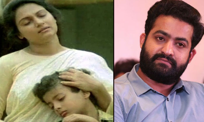  Shocking And Interesting Facts About Junior Ntr Details Here Goes Viral , Raal-TeluguStop.com