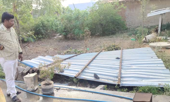  Cattle Shelters Raised By Strong Winds , Cattle , Shelters, Rains , Yellared-TeluguStop.com