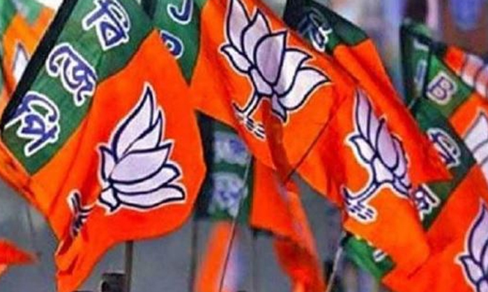  Bjp Exercise On Union Cabinet Composition , Bjp, Union Cabinet Composition, Jp N-TeluguStop.com