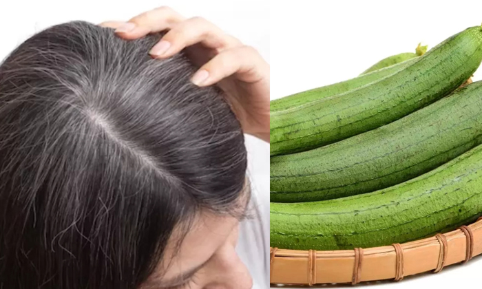  Bottle Gourd Turns White Hair To Black! Bottle Gourd, White Hair, Black Hair, Ha-TeluguStop.com