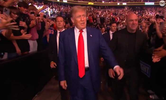 Telugu Dana White, Donald Trump, Hush Trial, Massive Cheers, Jersey, York, Storm