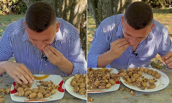  German Man Sets World Record Cracks 44 Walnuts In A Minute Viral Video Details,-TeluguStop.com