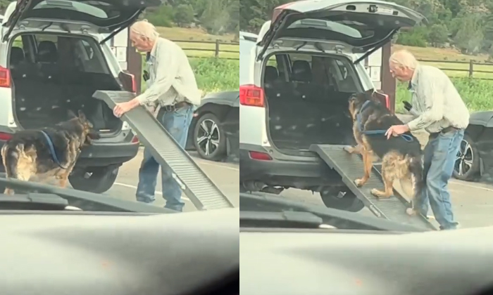  Growing Old Together Man Creates Ramp For His Ageing Dog Video Viral Details, Do-TeluguStop.com