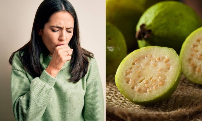 Telugu Cough, Guava, Guavacure, Guava Benefits, Guava Tea, Tips, Latest-Telugu H