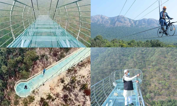 Telugu Bihar, Glass Bridge, Indiasglass, Latest, Nature Lovers, Rajgirglass, Raj