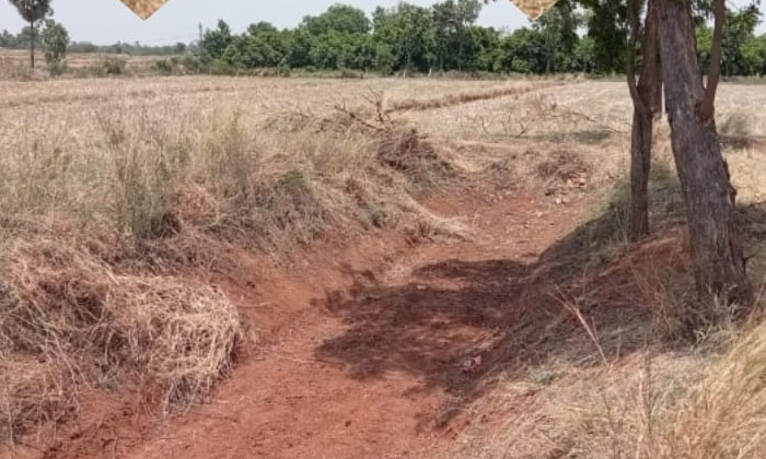  Ssrsp Canal Damage In Vibhalapuram, Mothey Mandal , Srsp Canal , Farmers , S-TeluguStop.com