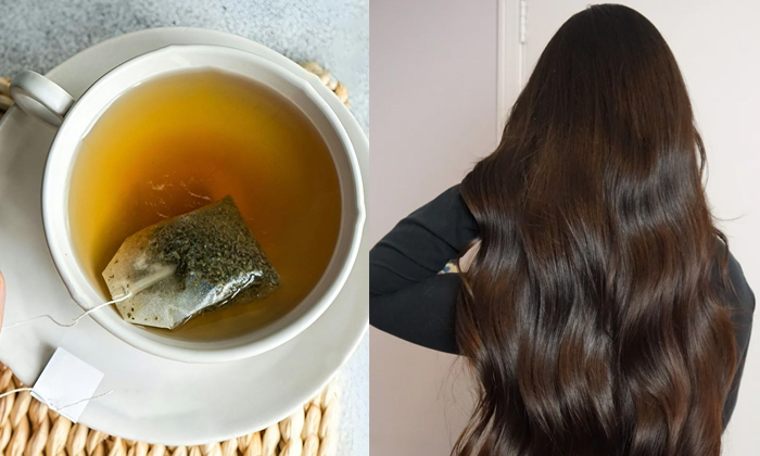  This Green Tea Mask Will Stop Hair Fall Quickly Details, Green Tea, Green Tea Be-TeluguStop.com
