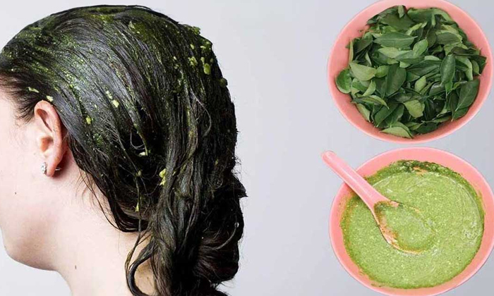  This Home Remedy Will Cure All Hair Problems! Hair Problems, Latest News, Home R-TeluguStop.com