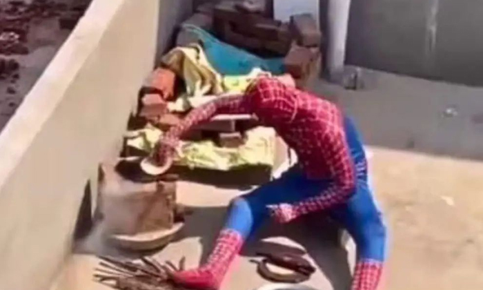  This Is The Video Of Spider-man Making Bread Viral, Spider-man, Superhero, India-TeluguStop.com