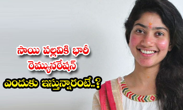  Why Is Sai Pallavi Getting Huge Remuneration , Huge Remuneration, Sai Pallavi, C-TeluguStop.com