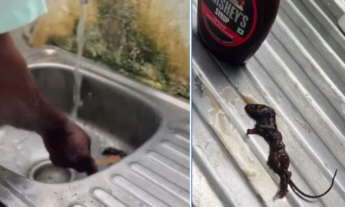  Viral News: Rat Found In Chocolate Syrup.. The Company Responded , Woman Finds ,-TeluguStop.com