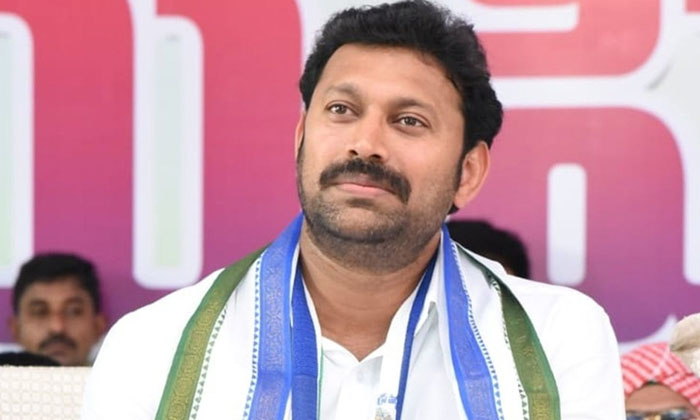 Telugu Ap, Chandrababu, Jagan, Janasena, Modhi, Thanuja Rani, Ysrcp, Ysrcp Mps-P