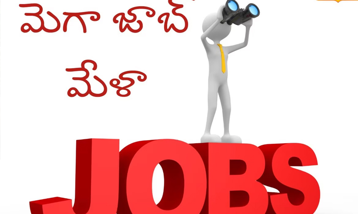  Youth Should Take Advantage Of Mega Job Mela , Mega Job Mela , Advantage-TeluguStop.com