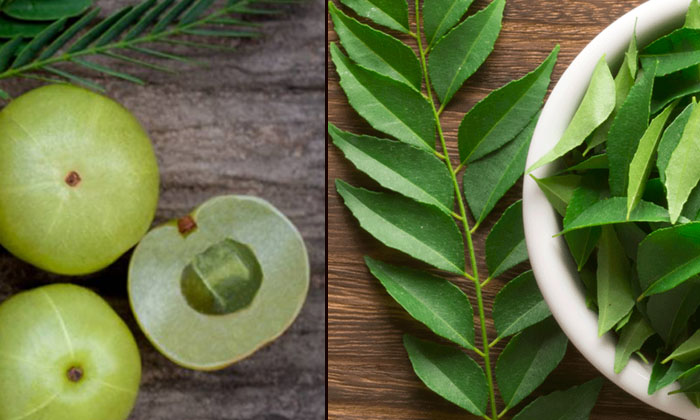 Telugu Care, Care Tips, Fall, Healthy, Latest, Mud Oil, Thick-Telugu Health Telugu Care, Care Tips, Fall, Healthy, Latest, Mud Oil, Thick-Telugu Health