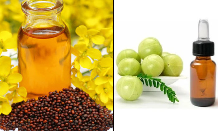 Wonderful Benefits Of Mustard Oil For Hair! Mustard Oil, Mustard Oil Benefits, L Wonderful Benefits Of Mustard Oil For Hair! Mustard Oil, Mustard Oil Benefits, L-TeluguStop.com