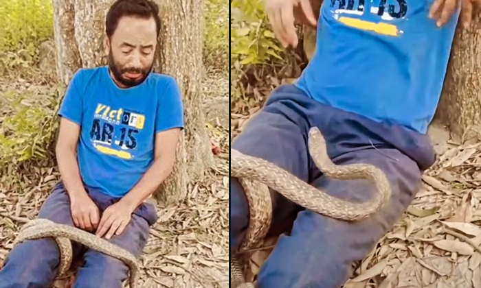  Snake Wrapped Around The Man Video Viral Details, Viral Video, Social Media, Sna-TeluguStop.com