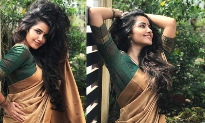  Heroine Anupama Shocking Comments About Massage Details Here Goes Viral In Socia-TeluguStop.com