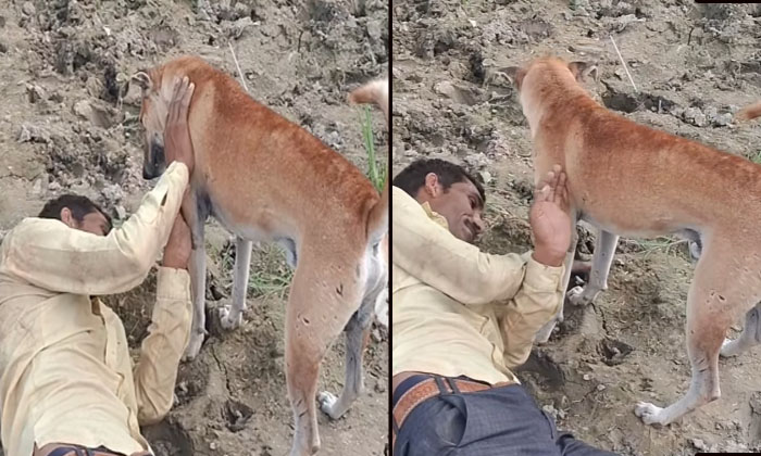  A Man Romance With Dog Viral On Social Media, Social Video, Upated Video, Viral-TeluguStop.com