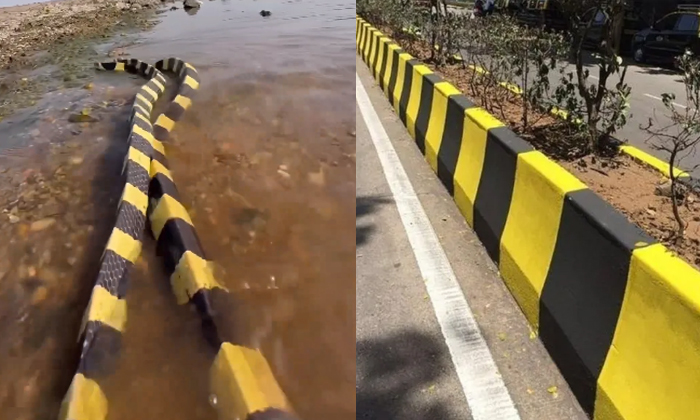  Two Snakes Looking Like Roadside Dividers Viral Video Details, Viral Video, Soci-TeluguStop.com