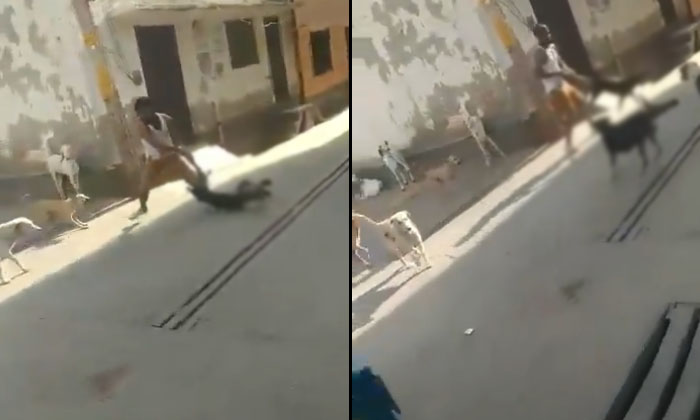  A Man Beating Dog Viral Video , Viral Video, Social Media, Dogs Bite, A Man Beat-TeluguStop.com