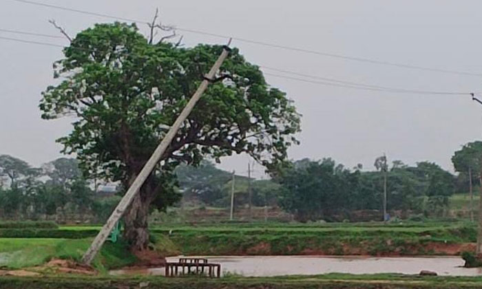  The Authorities Do Not See The 11 Kv Electric Pole , 11 Kv Electric Pole, Neredc-TeluguStop.com