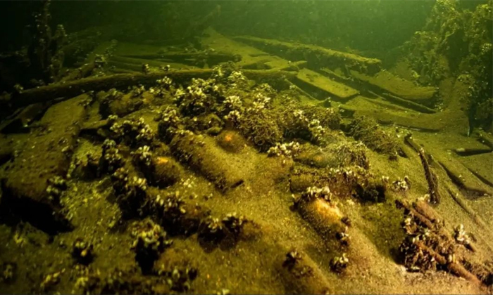  175-year-old Bottles Of Champagne Discovered By Polish Divers In A Shipwreck Det-TeluguStop.com