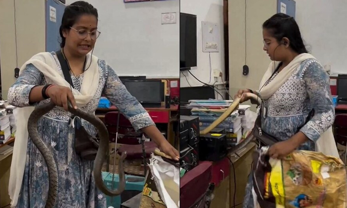  Brave Lady Woman Fearlessly Rescues Snake From Office Viral Video Details, Snake-TeluguStop.com