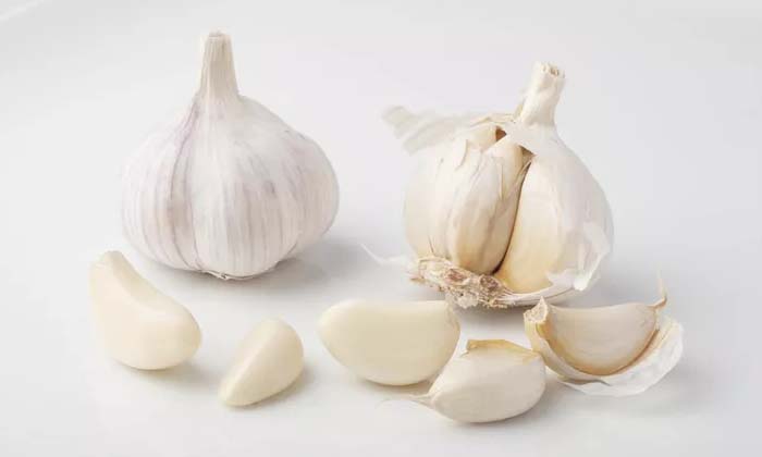  Drinking This Water During Monsoons Is Very Good For Health! Garlic Water, Garli-TeluguStop.com