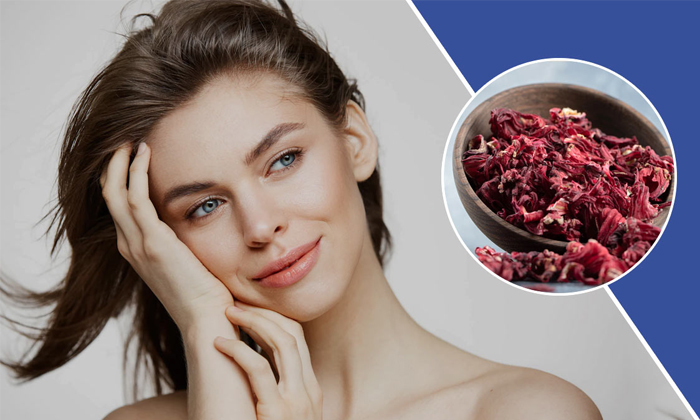  How To Get Rid Of Acne And Black Spots With Hibiscus Details, Hibiscus, Hibiscus-TeluguStop.com