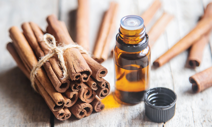 Telugu Cinnamon, Cinnamon Oil, Care, Care Tips, Fall, Healthy-Telugu Health