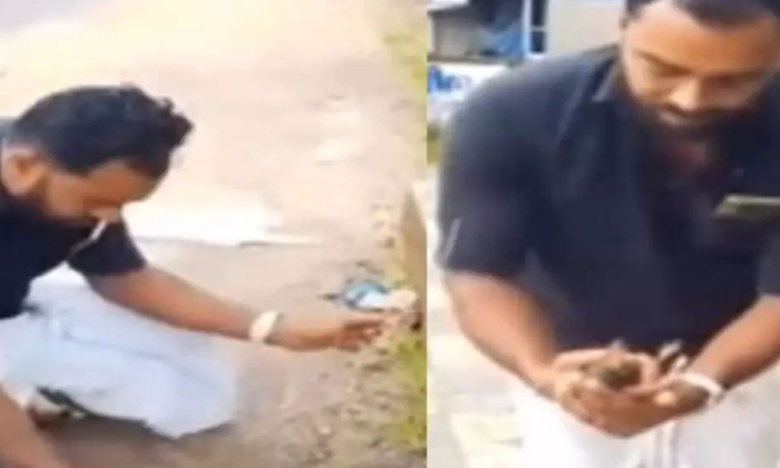  Kerala Man Who Survived By Performing Cpr On A Bird, Netizens Are Angry, Kerala,-TeluguStop.com