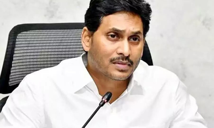 Telugu Ap, Janasena, Janasenani, Raja, Ysrcp-Politics