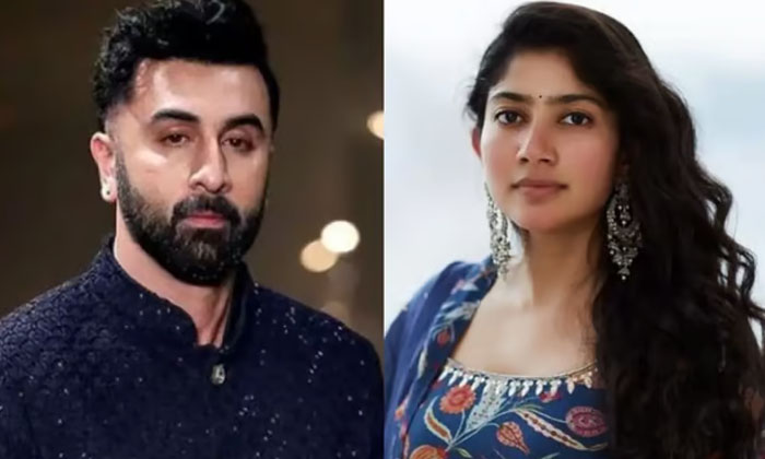 Telugu Bollywood, Sai Pallavi, Saipallavi, Varun Dhawan-Telugu Top Posts