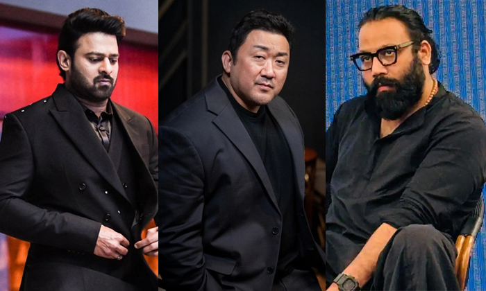  Sandeep Reddy Vanga Plan For Prabhas Spirit Movie Villain Ma Dong-seok Details,-TeluguStop.com