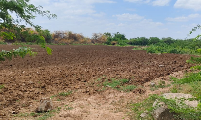  Siddireddy Pond Sikharam Lands Are Occupied, Siddireddy Pond, Sikharam Lands ,-TeluguStop.com