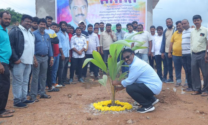  Plant Saplings Protect Environment -twj State Vice President Layak Pasha , Twj S-TeluguStop.com