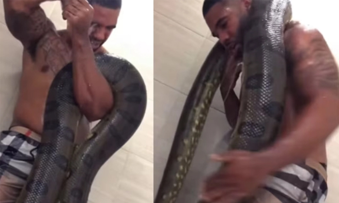  Terrifying Video Shows Man Bathing With Enormous Python Viral Details, Man Baths-TeluguStop.com
