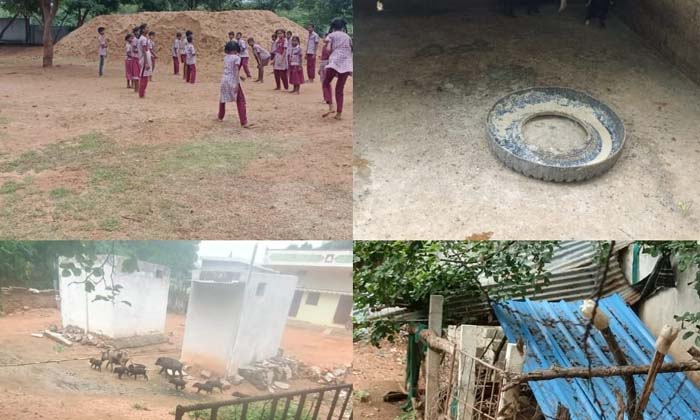  The Pig Shed Next To The Government School Used To Be Like A School , Kurampally-TeluguStop.com