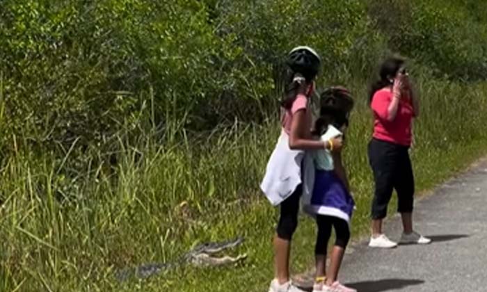  Parents, Make Their Children Pose, Next To Alligator ,for A Pic ,us Internet ,l-TeluguStop.com