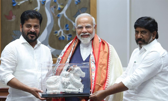 Telugu Cm Chandrababu, Deputycm, Janasena, Janasenani, Mallubhatti, Pawan Kalyan