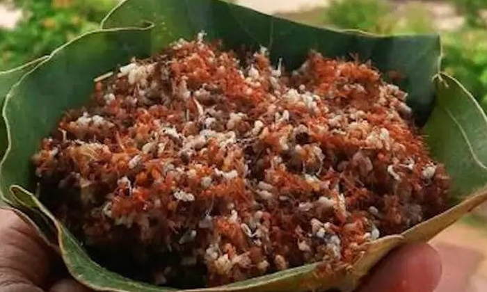  Will You Try Baboyerra Chutney With Viral Video, Red Ant Chutney, Recipe, More T-TeluguStop.com