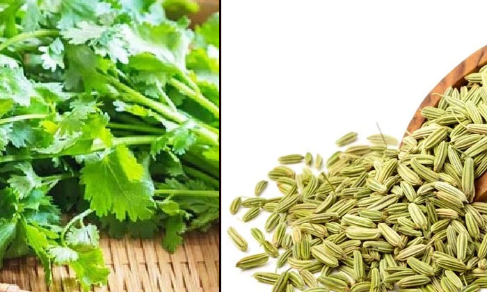  From Sugar Control To Weight Loss, Are There So Many Benefits Of Coriander? Cori-TeluguStop.com